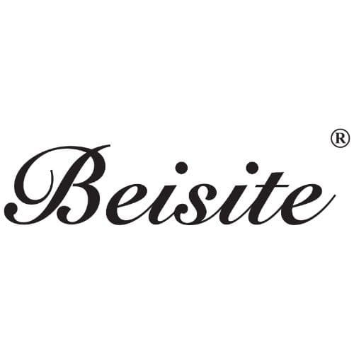 BEISITE ELECTRONIC TECHONOGY.jpg logosu