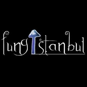 FUNG ISTANBUL 300x300.jpg logosu