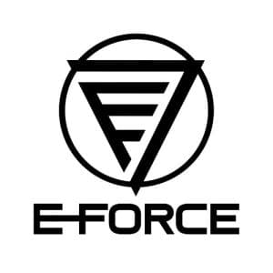 VICTORY ELECTRONIC TECHNOLOGY 300x300.jpg logosu